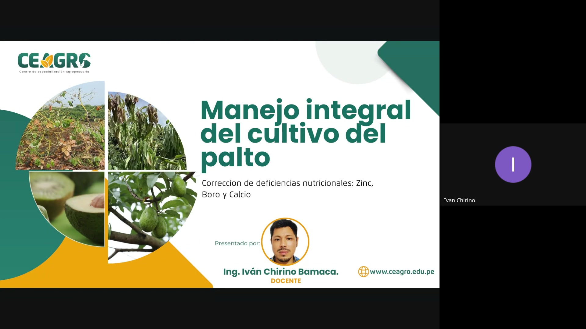 Correcci&oacute;n de deficiencias nutricionales: Zinc, Boro y Calcio