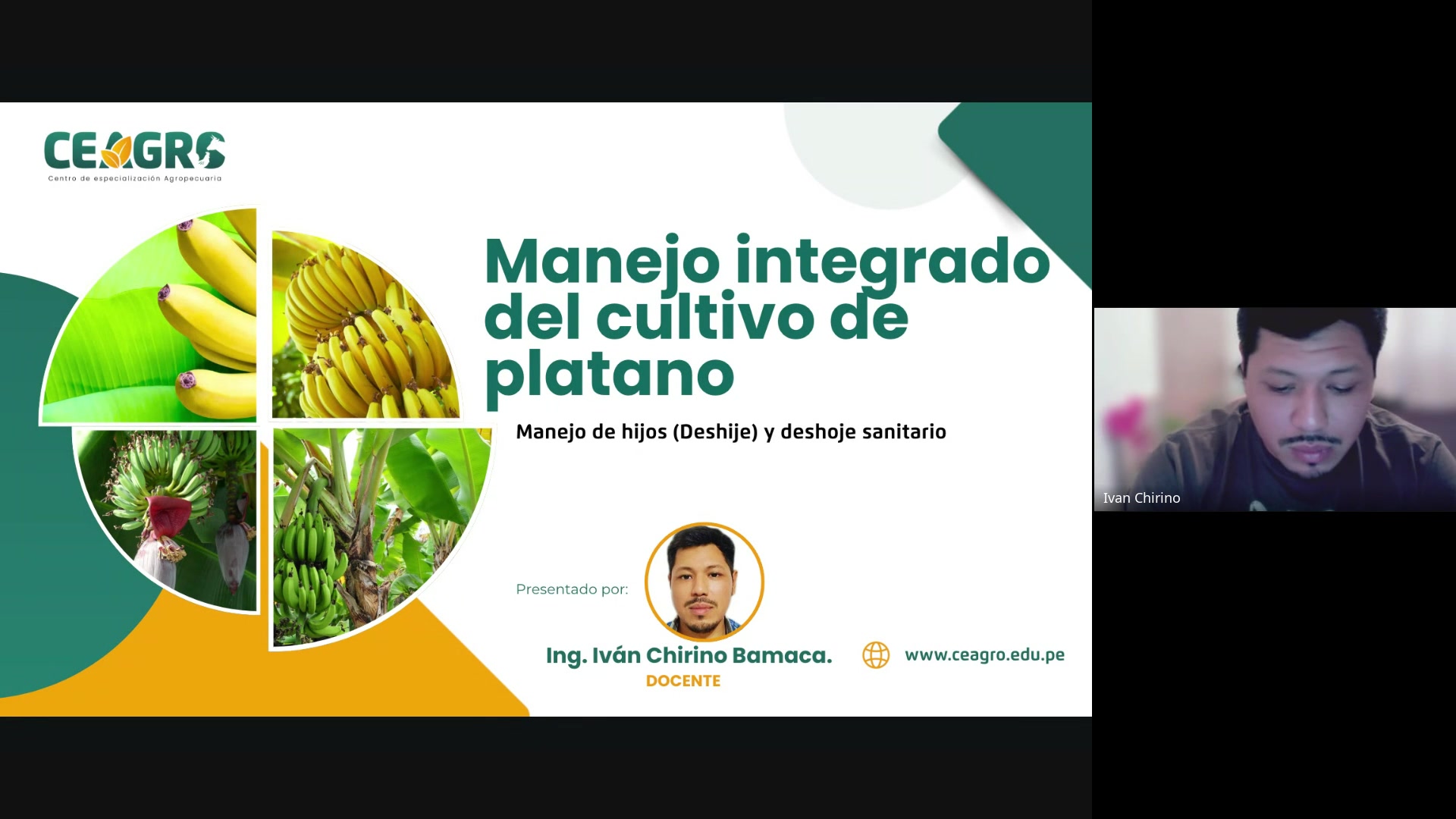 Manejo de hijos (Deshije) y deshoje sanitario