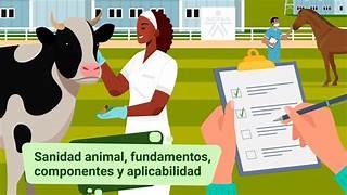 Bioseguridad en establecimientos pecuarios