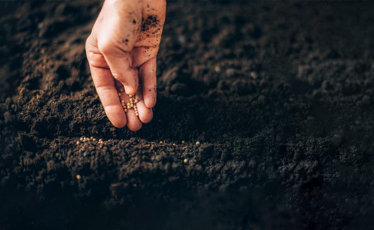 Introducción a los abonos orgánicos