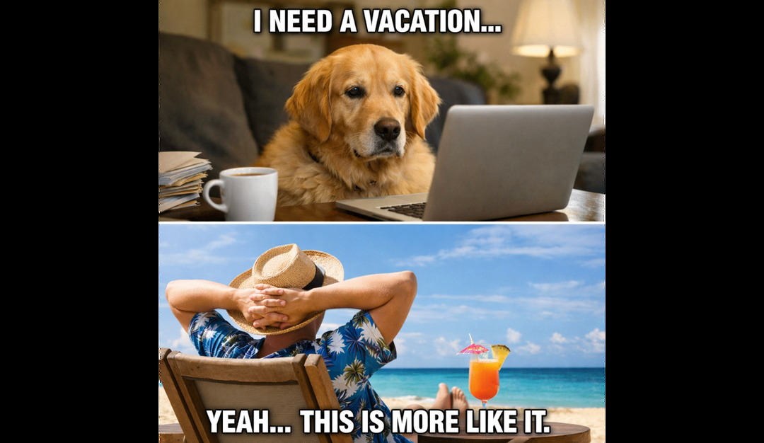 Dog is on vacation - meme