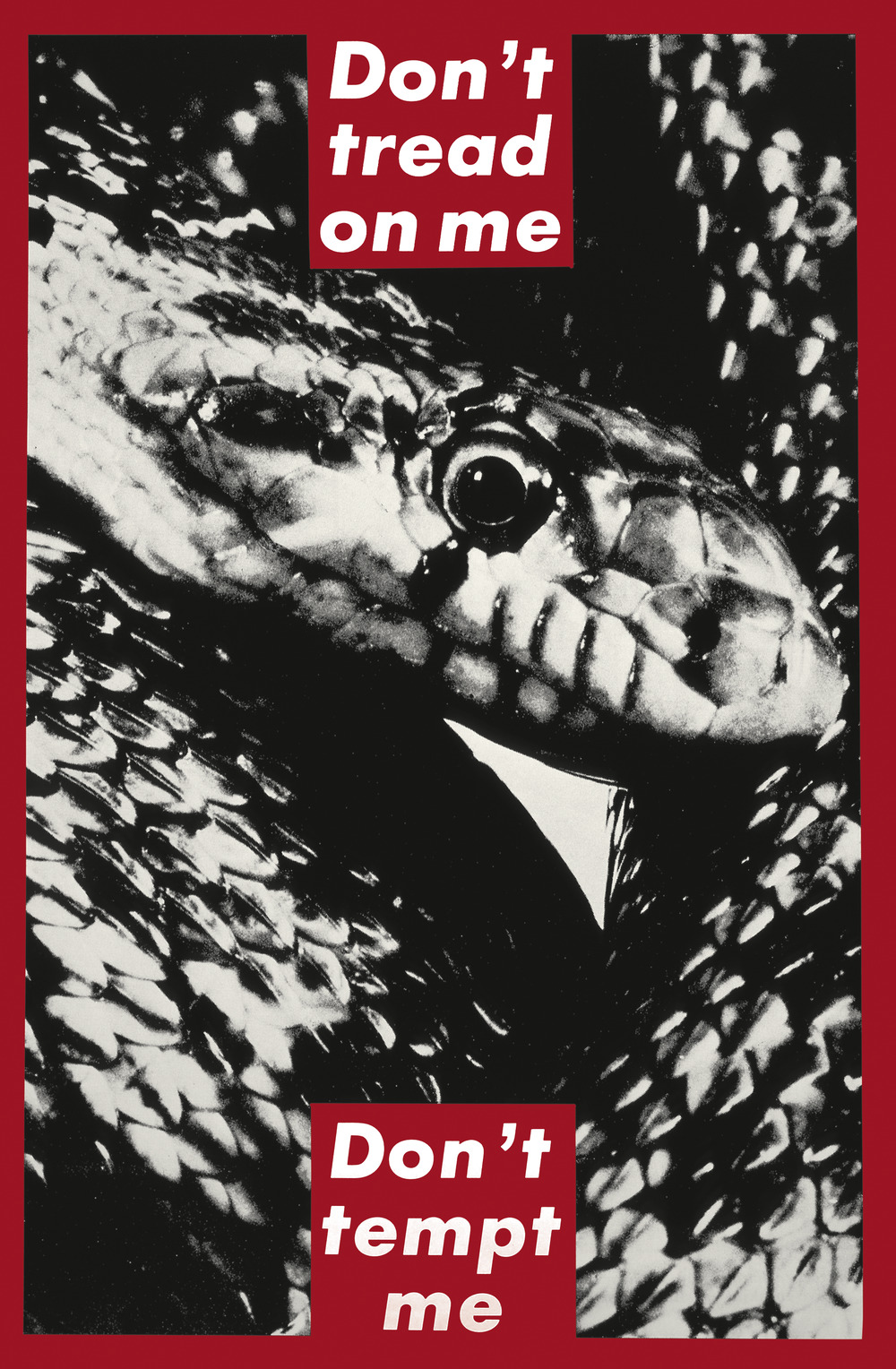 Barbara Kruger, Untitled, 1989–90 | Artwork Essays | Research 