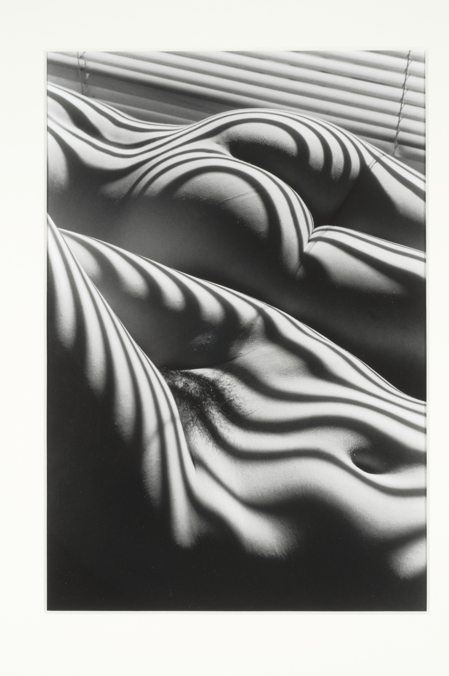 洋書 Nude Photography: The Art and the Craft Two Zebra Nudes, New York, from the portfolio Selected Images