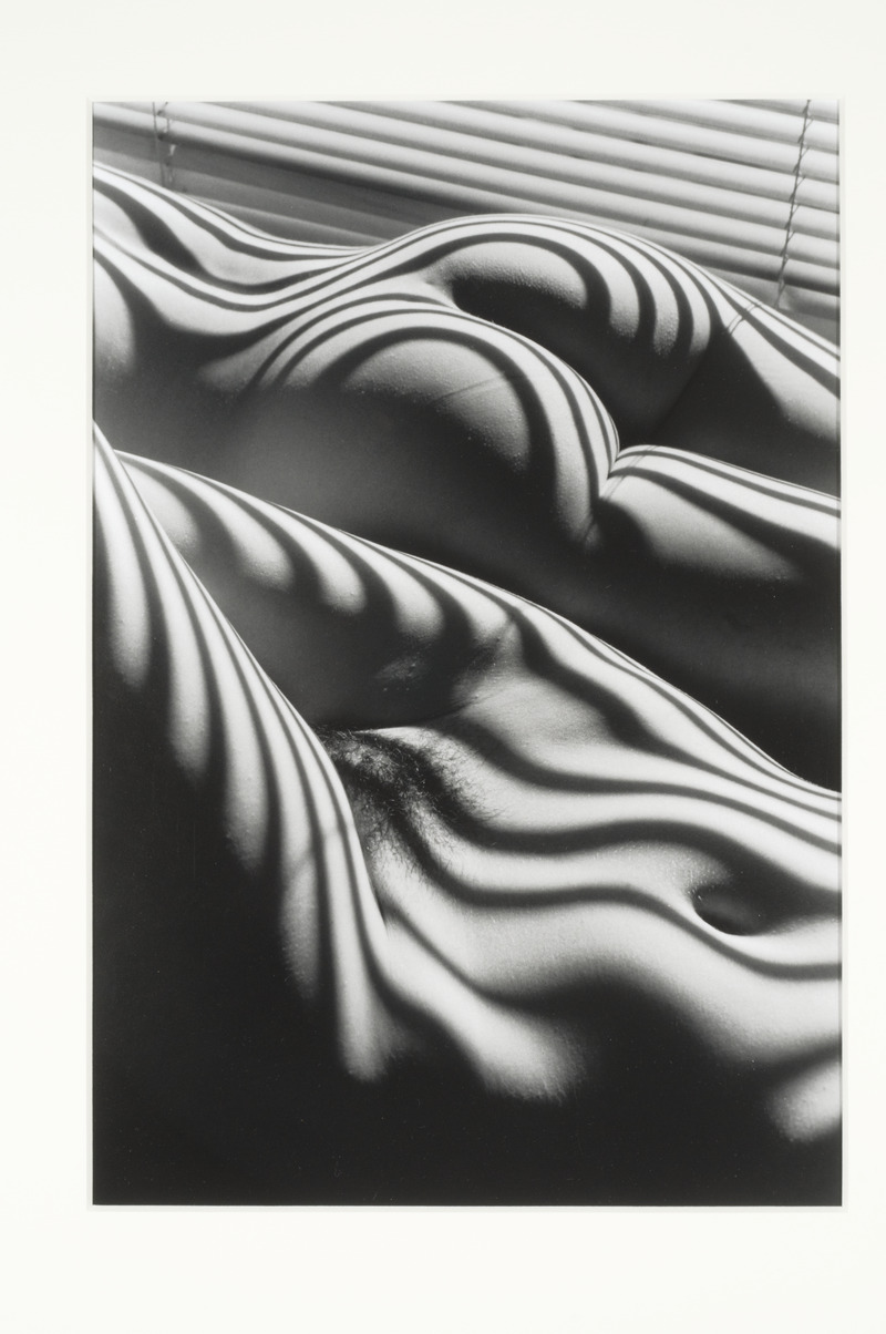Two Zebra Nudes, New York, from the portfolio Selected Images