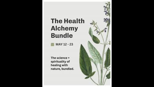 Health Alchemy Bundle 