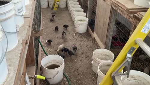Freedom Seekers at Sanctuary One