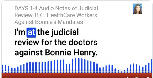 Day 1-4 Juducial Revew- Doctors/Nurses Suit Against Bonnie Henry In Full Swing. I Attended This Past Week.