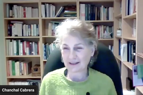 CHA National Assembly Call with Chanchal Cabrera