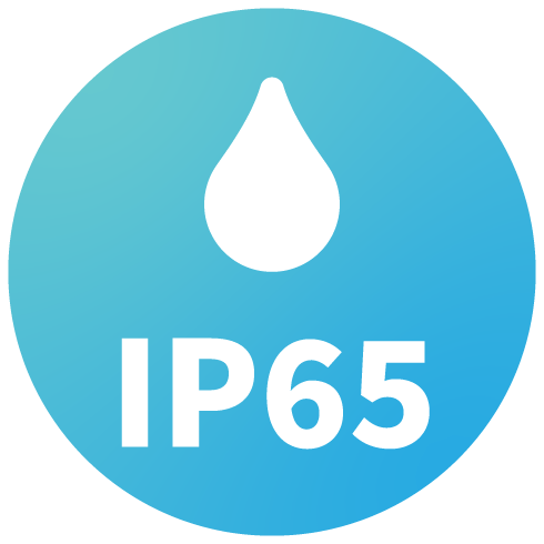 IP65