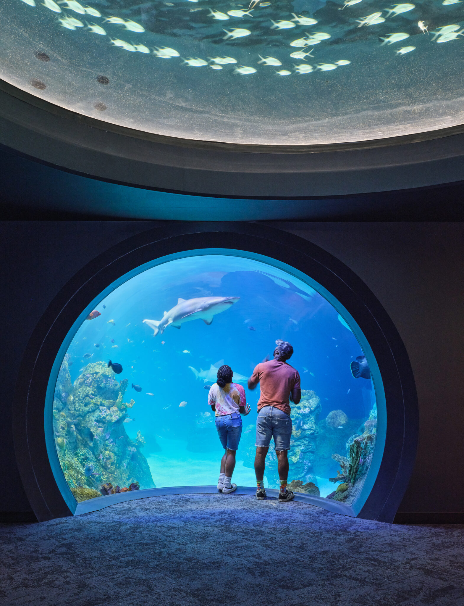 Sobela Ocean Aquarium,Kansas City Zoo