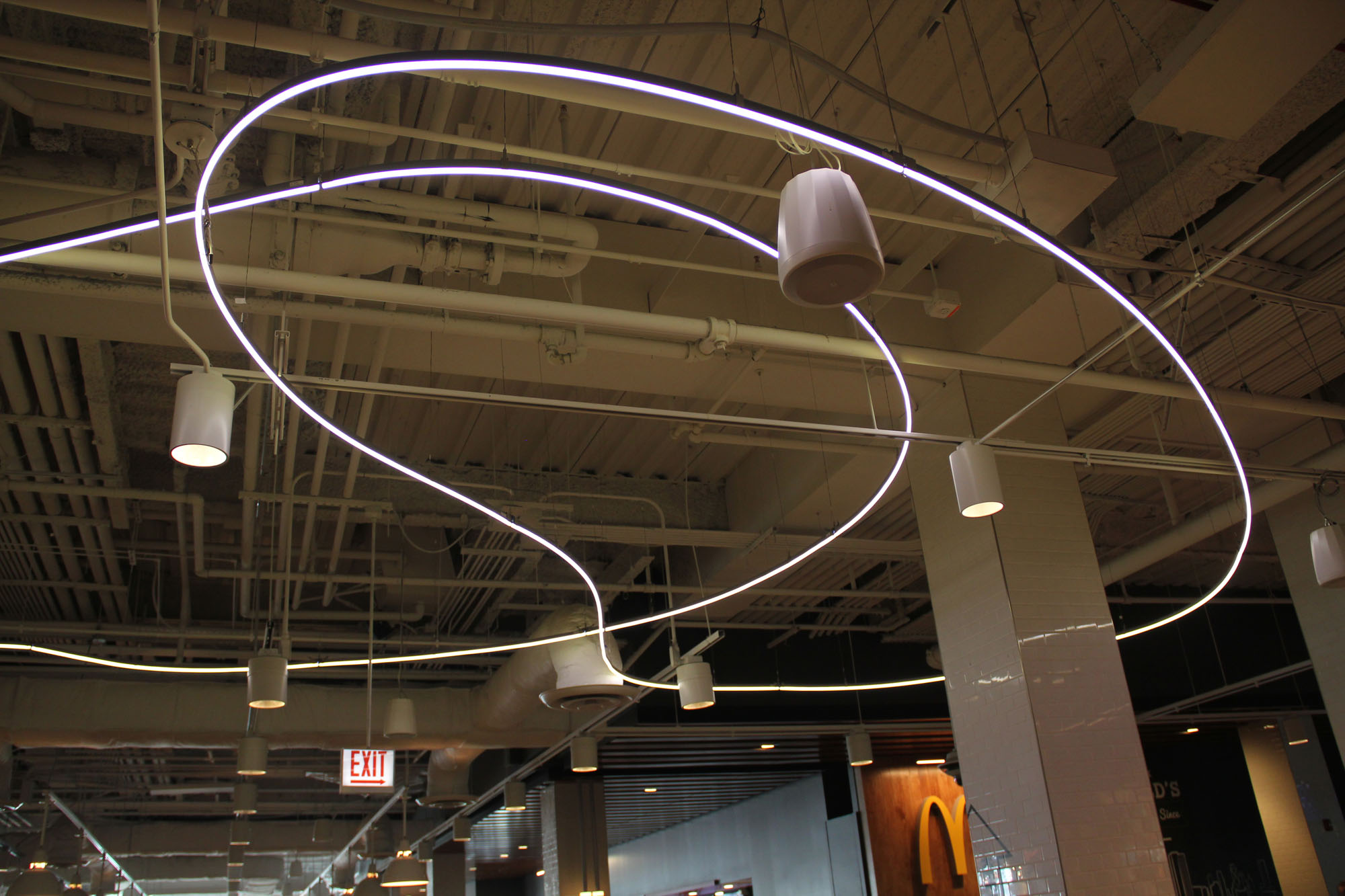 Navy Pier-Custom Shaped, Suspended Luminaires,Navy Pier, Chicago