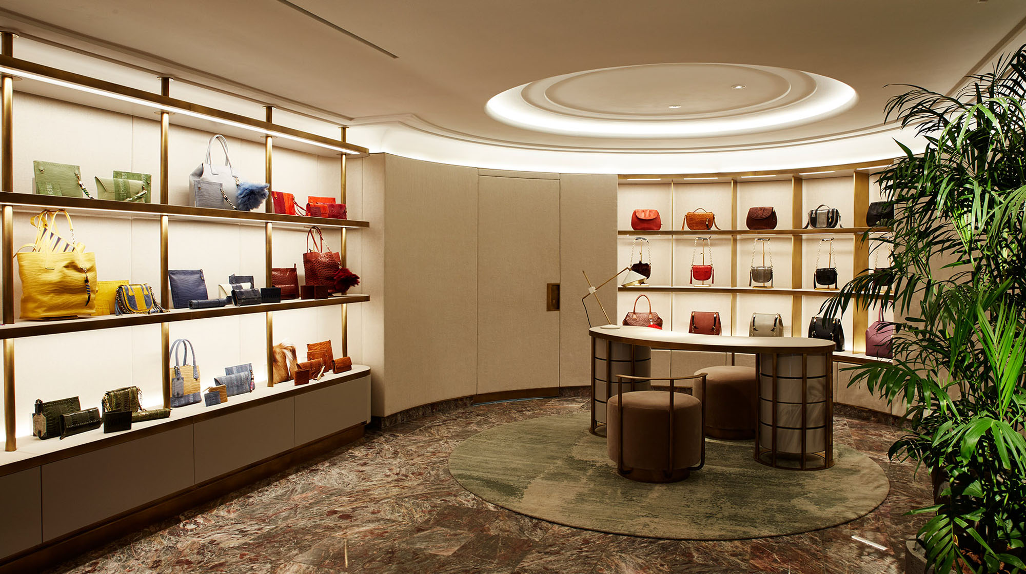 Okapi Flagship Store - Luminii