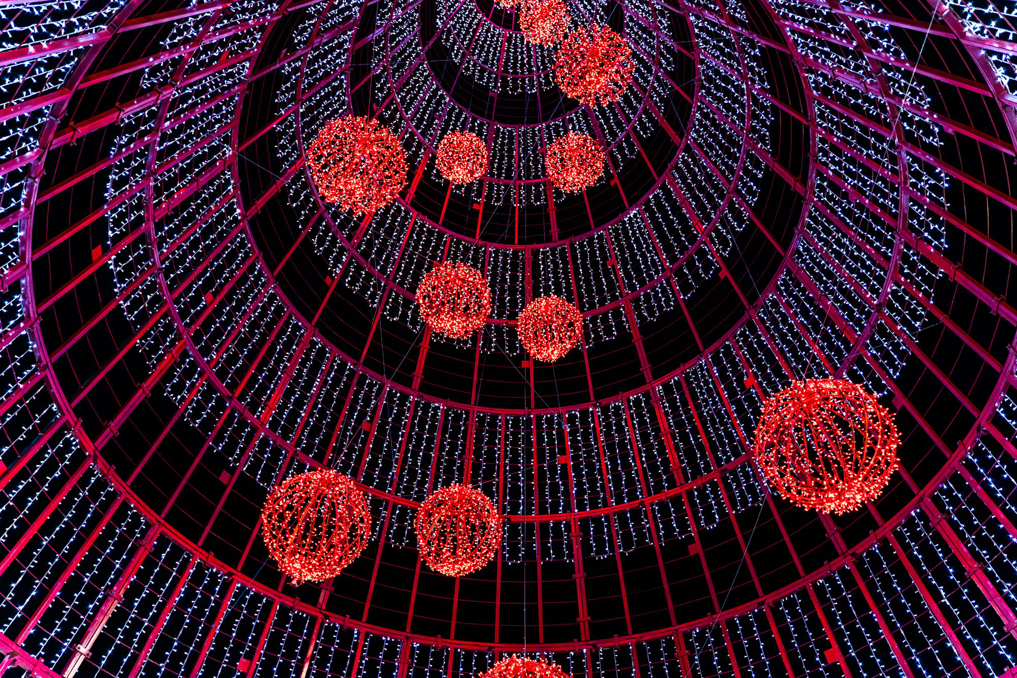 dylan-freedom-MM1qQ987DEQ-unsplash