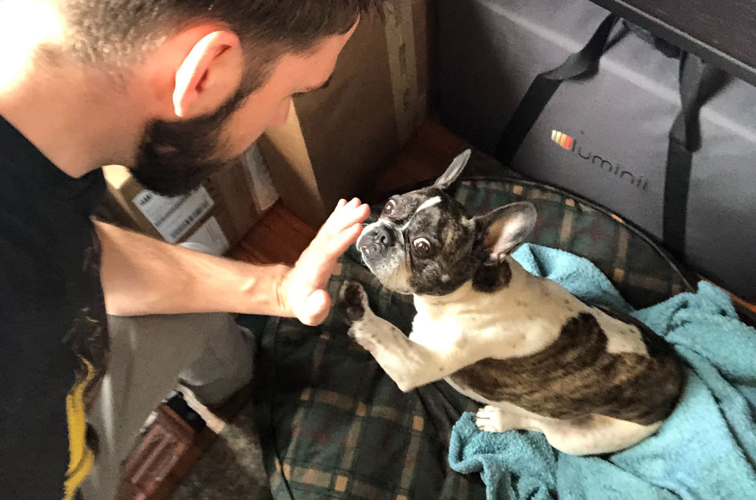 Ryan And His Dog