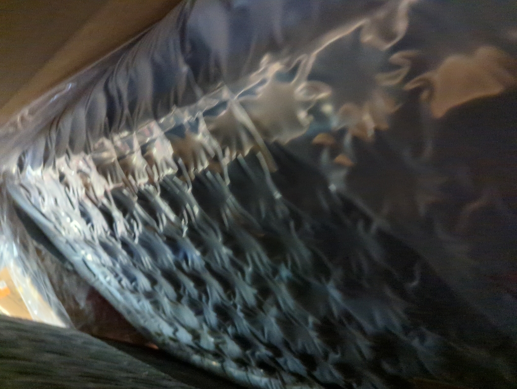 Gray 87Solid Wood Leg Corduroy 3-Person Sofa with 2 Pillows