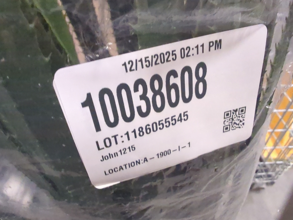 Size Large Artificial Snake Plant –  Sansevieria Plants, Fake Floor Plant for Indoor Outdoor, Front Porch Patio Home Office Decor, Mother-in-Law’s Tongue, Green