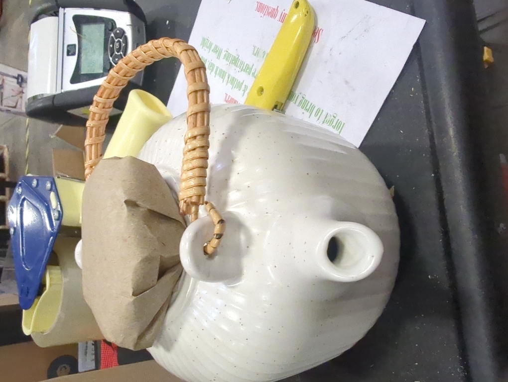 Japanese Porcelain Dobin Teapot -  Mino Ware - Wisteria Vine Handle - White - Made in Japan