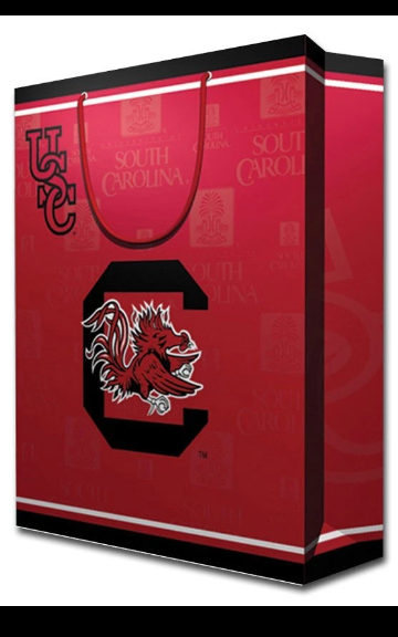 NCAA South Carolina Fighting Gamecocks Gift Bag, Large 2 Pack