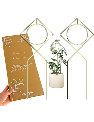 Metal Plant Support Stake for Indoor Climbing Plants, Pothos, Monstera, Philodendron and Vines, Plant Decor Accessories - Size: 17 x 7