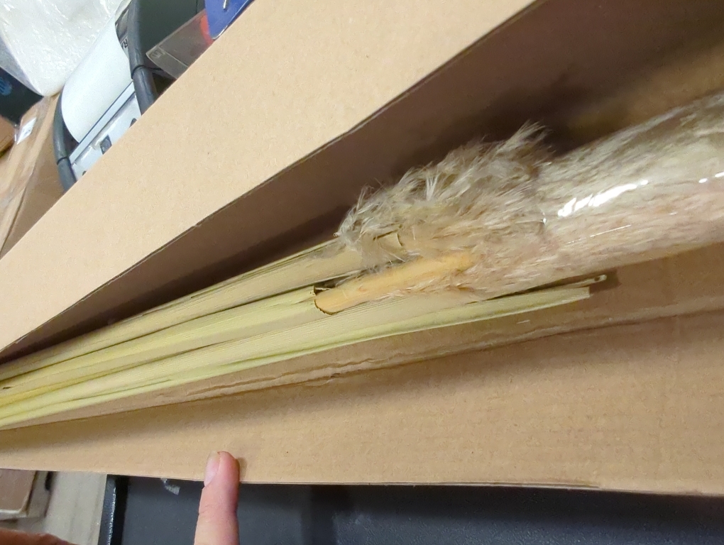 55 inch Scarcity Natural Pampas Grass Decor Tall, pompas Grass, Tall Pampas Grass for Wedding, Party, Farmhouse, Boho Home Decor