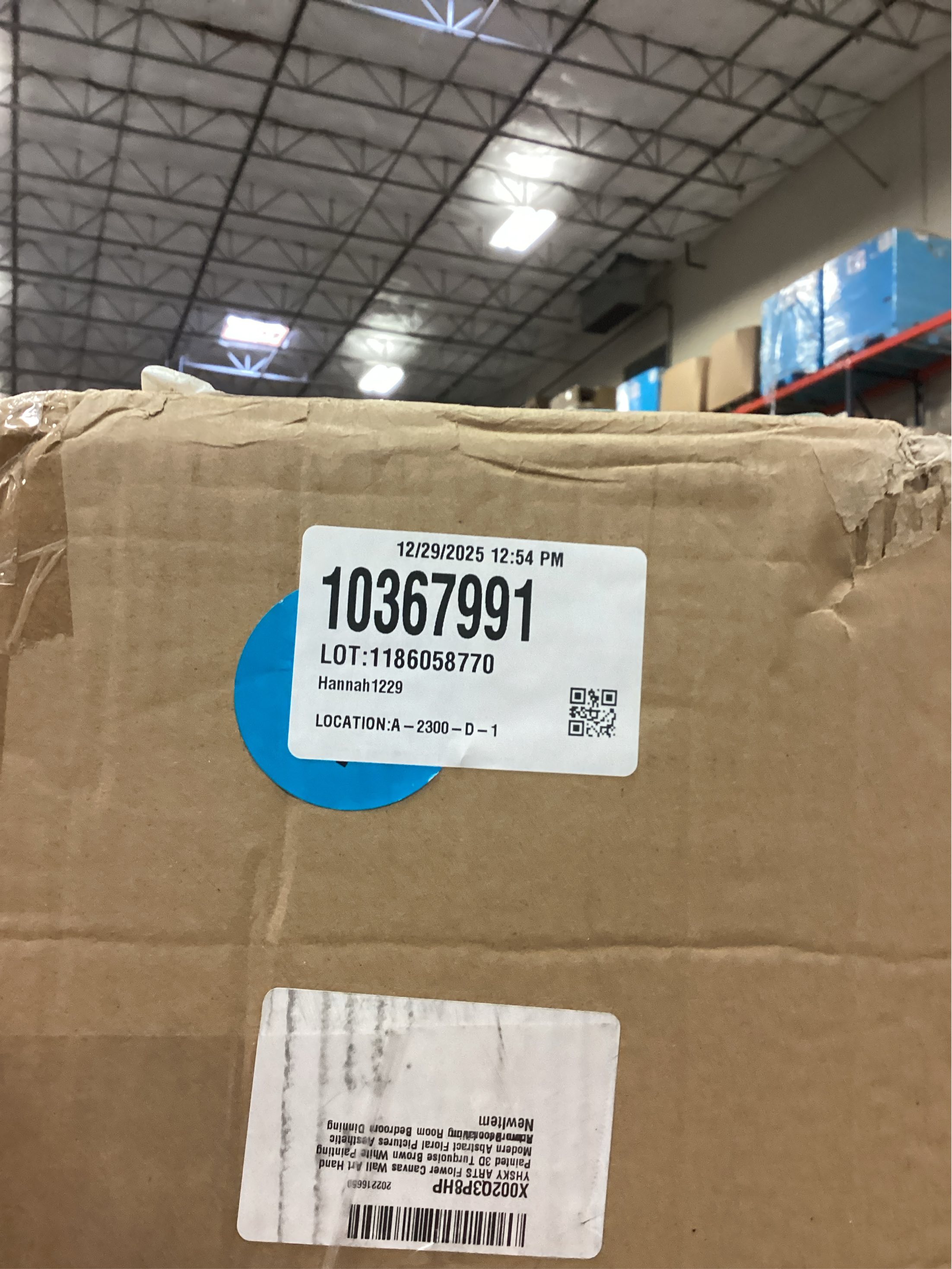 YHSKY ARTS 3D Hand - Painted White Floral Wall Art with Printed Blue Background, Textured Flower Decor for Home