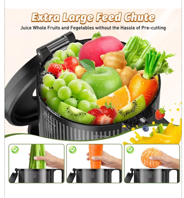 Cold Press Juicer Professional Slow Masticating Juicer for Whole Vegetables & Fruits with High Juice Yield Black