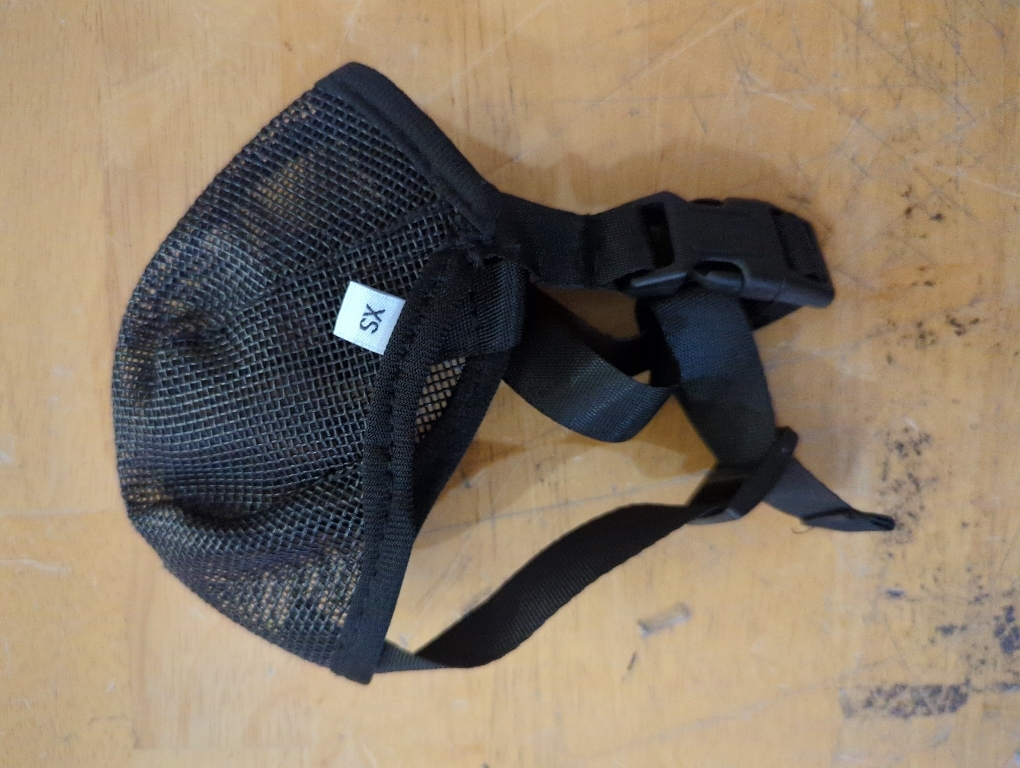 Dog Muzzle, Soft Mesh Covered Muzzles for Small, Medium, Large and X-Large Dogs, Muzzle with Adjustable Straps, Prevent Barking, Biting, and Accidental Ingestion (Black, X-Small)