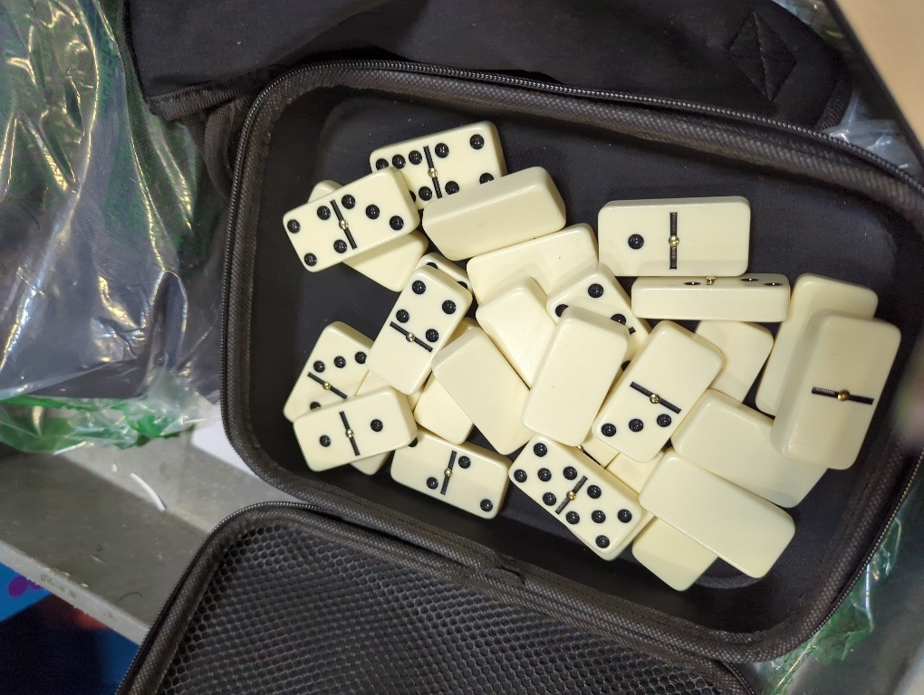 Dominoes Set Adults with 4 Wooden Racks/Trays Double Six Dominoes Travel Set with Portable Case Double 6 Dominoes Set with 4 Tiles Holders 28 Tiles Dominos Set Family Classic Board Games White