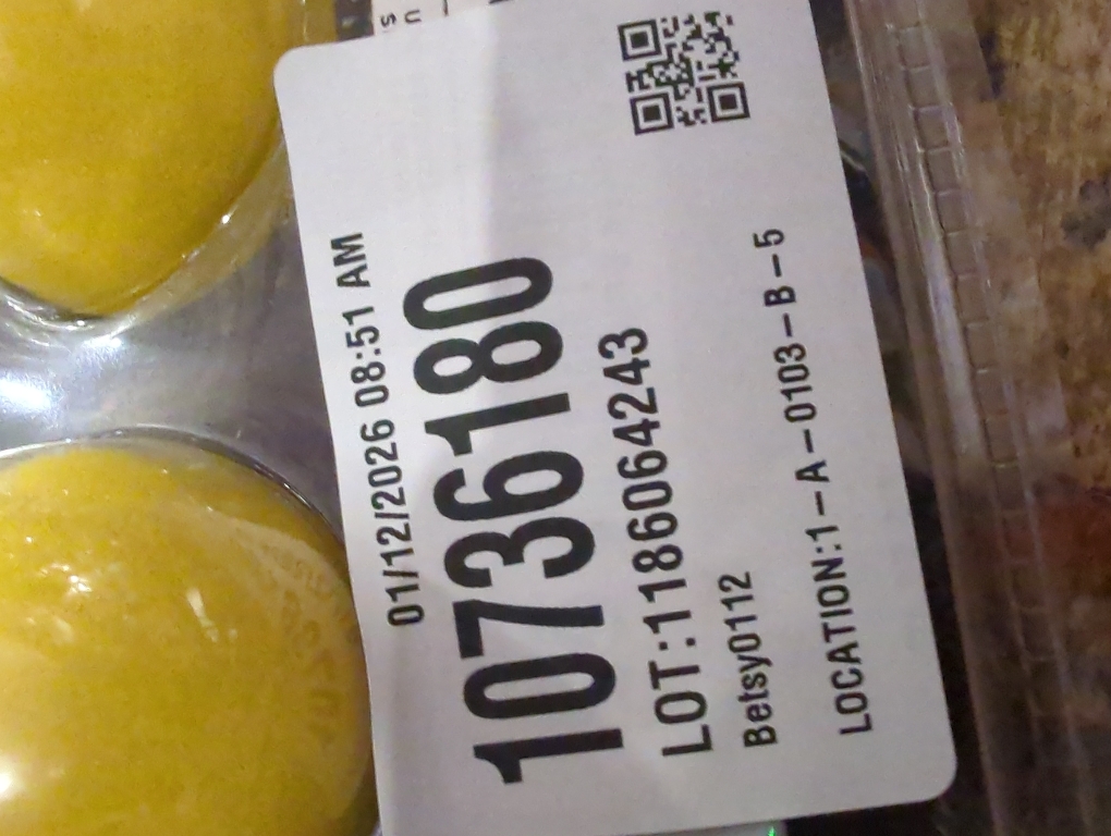 Franklin Sports NHL Mini Hockey Stick Set - NHL Team Knee Hockey Stick and Ball Set - Two Player Stick Set - Great Toy for Kids