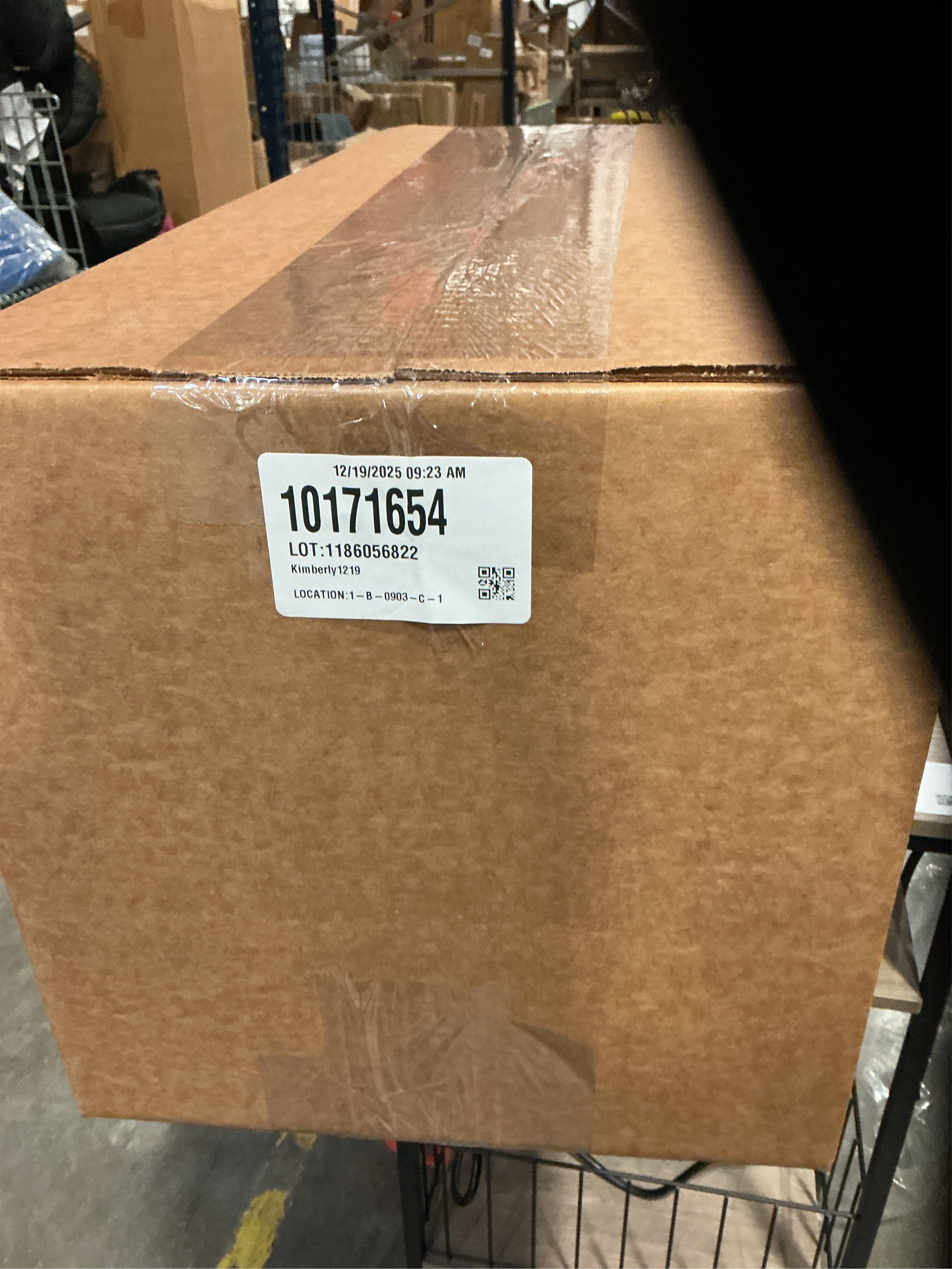 Ophanie Black Area Rugs for Bedroom Living Room, 4x6 Fluffy Fuzzy Shag Shaggy Carpet Soft Plush Furry Bedside Rug, Indoor Floor Rug for Kids Girls Boys Home Decor Aesthetic, Dorm Nursery