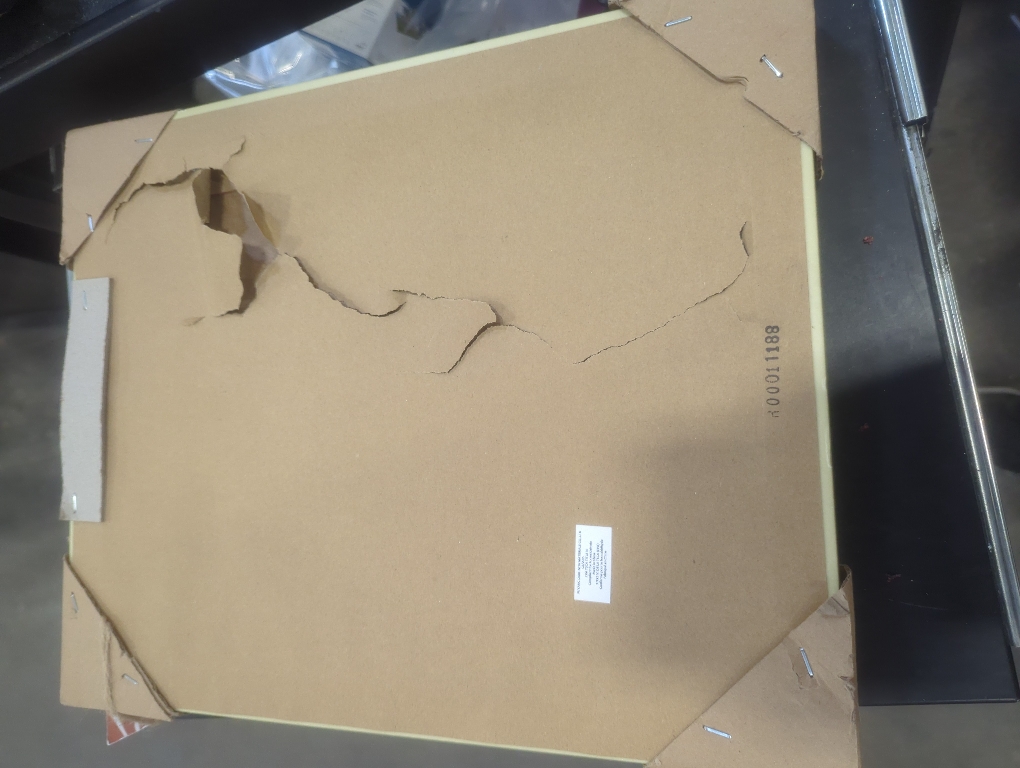 BP Home Woven Multi Color Butterfly Pattern