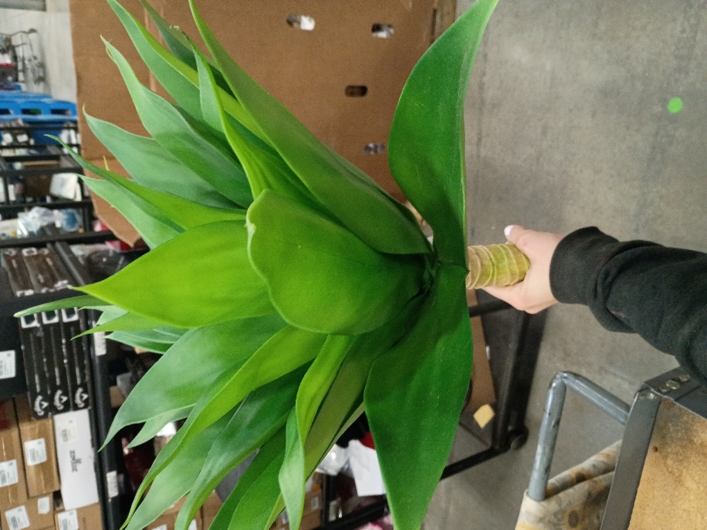 BANNINEO Artificial Agave Succulent Plant 18 Inches, 100% Natural Looking Artificial Greenery Plant Tall Faux Succulent Agave, Artificial Plant for Indoor Outdoor Decor