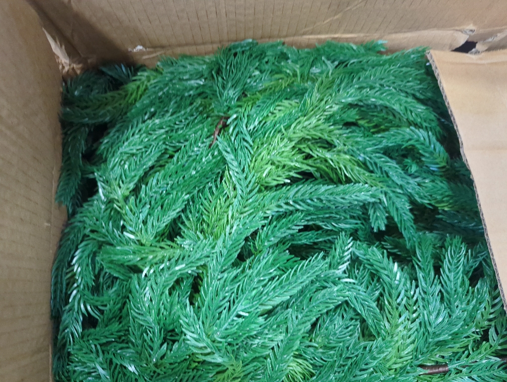 Hananona 4 Pcs 9 Ft Artificial Norfolk Pine Garlands, Realistic Pine Garland, Green Artificial Greenery Garland for Table, Mantle, Wall, Indoor, Outdoor Winter Christmas Decorations (4, 9 FT)