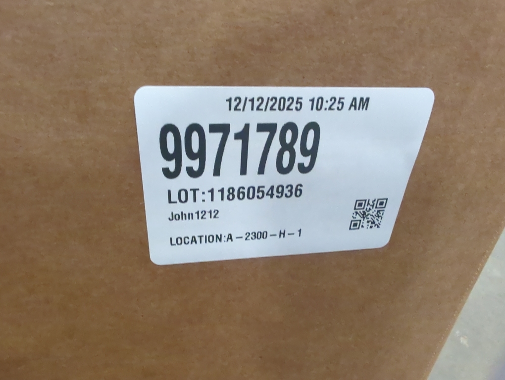 Color grey dog steps