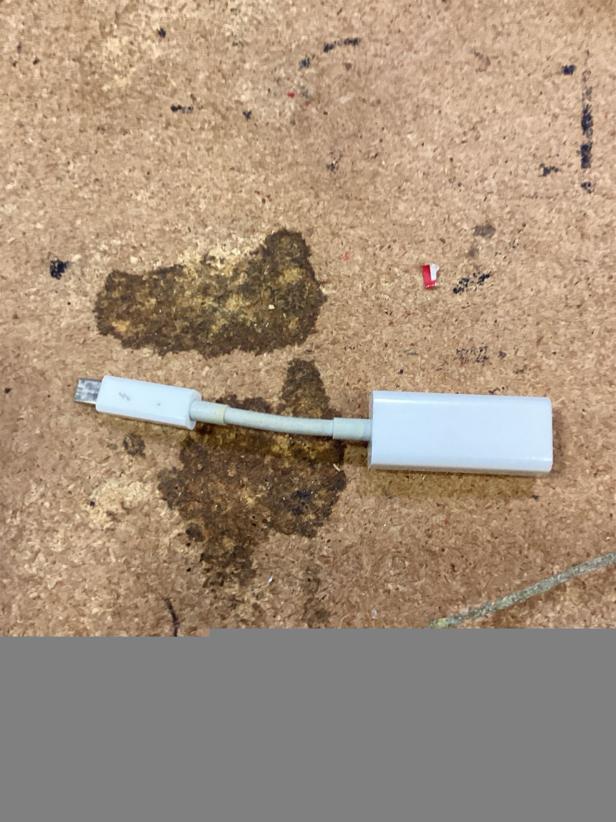 Thunderbolt 2 To FireWire 800 Adapter To Fire 1394B Compatible For Mac Computers Equipped With Ports