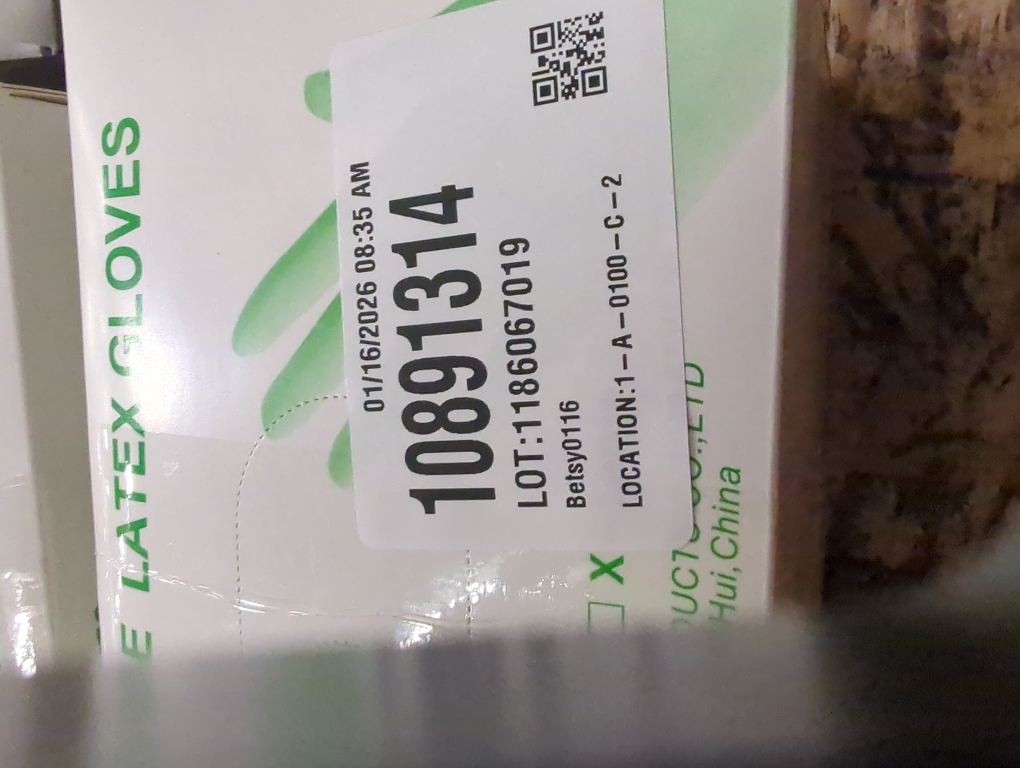 Medium Disposable Latex Gloves (100-Count)