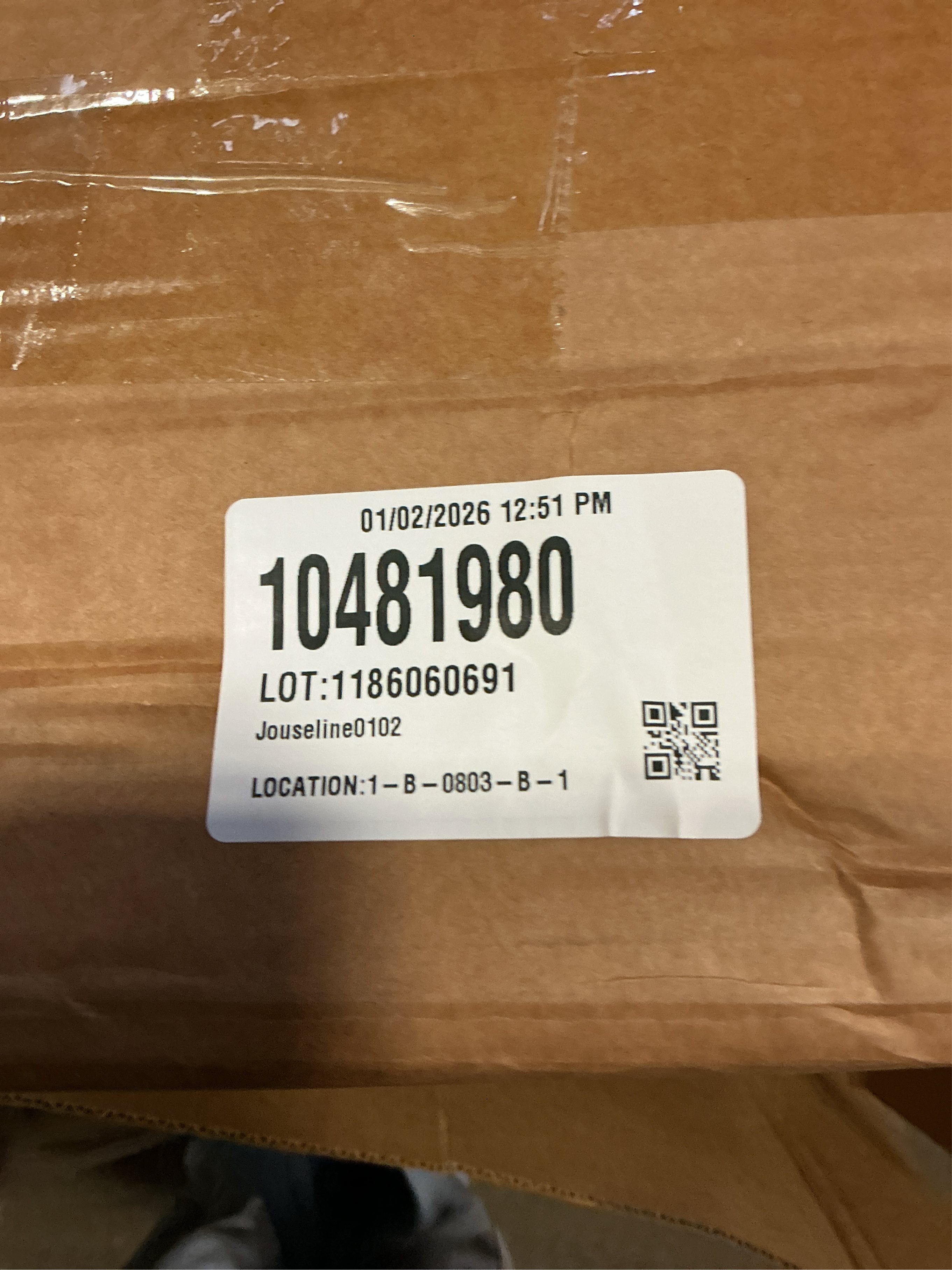 4FT Prelit Christmas Tree 2-Pack Snow Flocked Artificial Potted Christmas Tree with 100 Warm White LEDs Battery Powered & 8 Lighting Modes for Xmas Porch Entrance Decorations