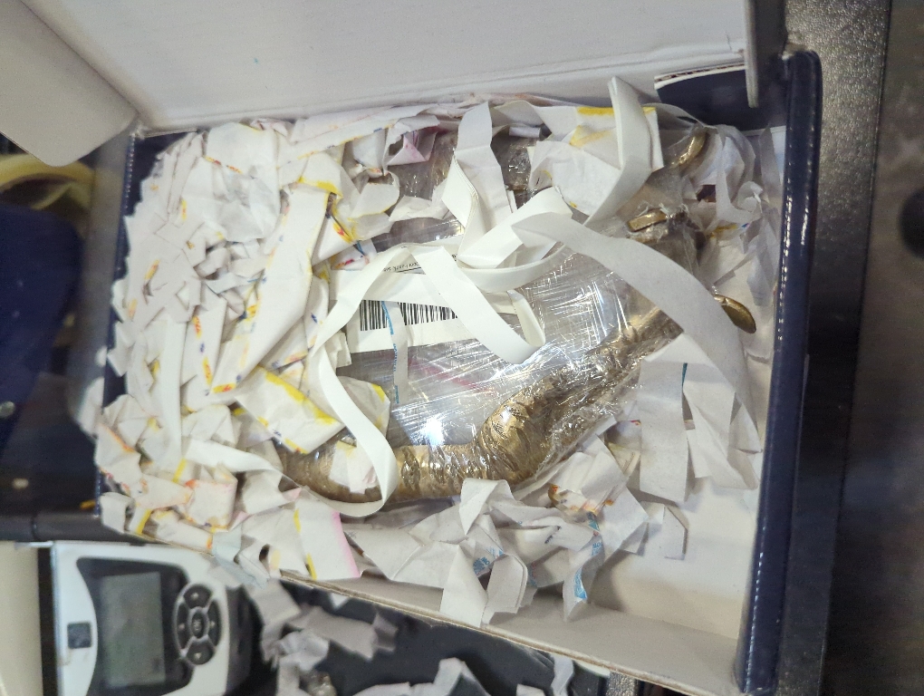 Esplanade - Jaguar/Tiger - Brass Door Handles | Home Decor | Door Decor | Door Pull | Door Accessories | Door Handle Sets - 7.5 Inches