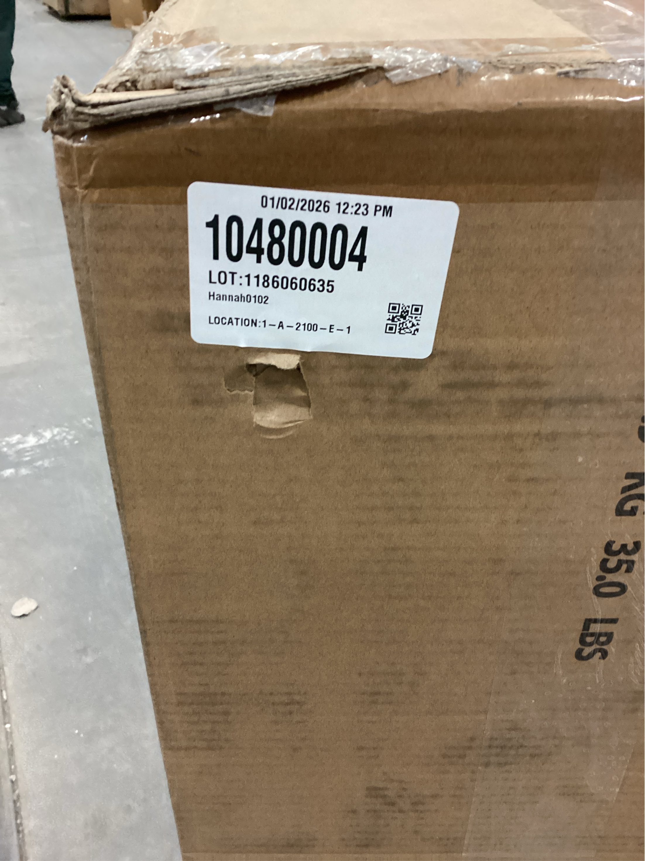 6ft Full Body Unlit Artificial Christmas Tree, Realistic Dense Pine with 1,000 Branch Tips, Hinged Easy Assembly & Stable Base, Perfect for Holiday Ornaments