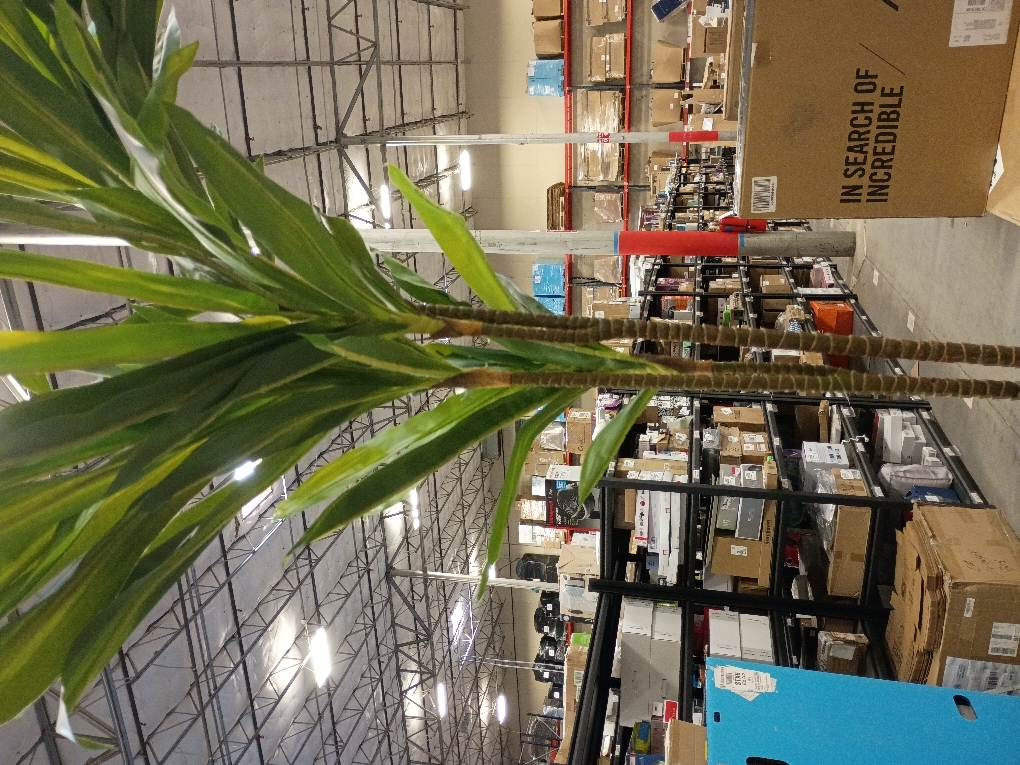 Artificial Dracaena Tree, 5FT Tall Fake Plants with UV Resistant Leaves, Faux Tropical Yucca Trees for Indoor Outdoor, Potted Large Floor Plant for Home Decor Living Room Porch, VN123