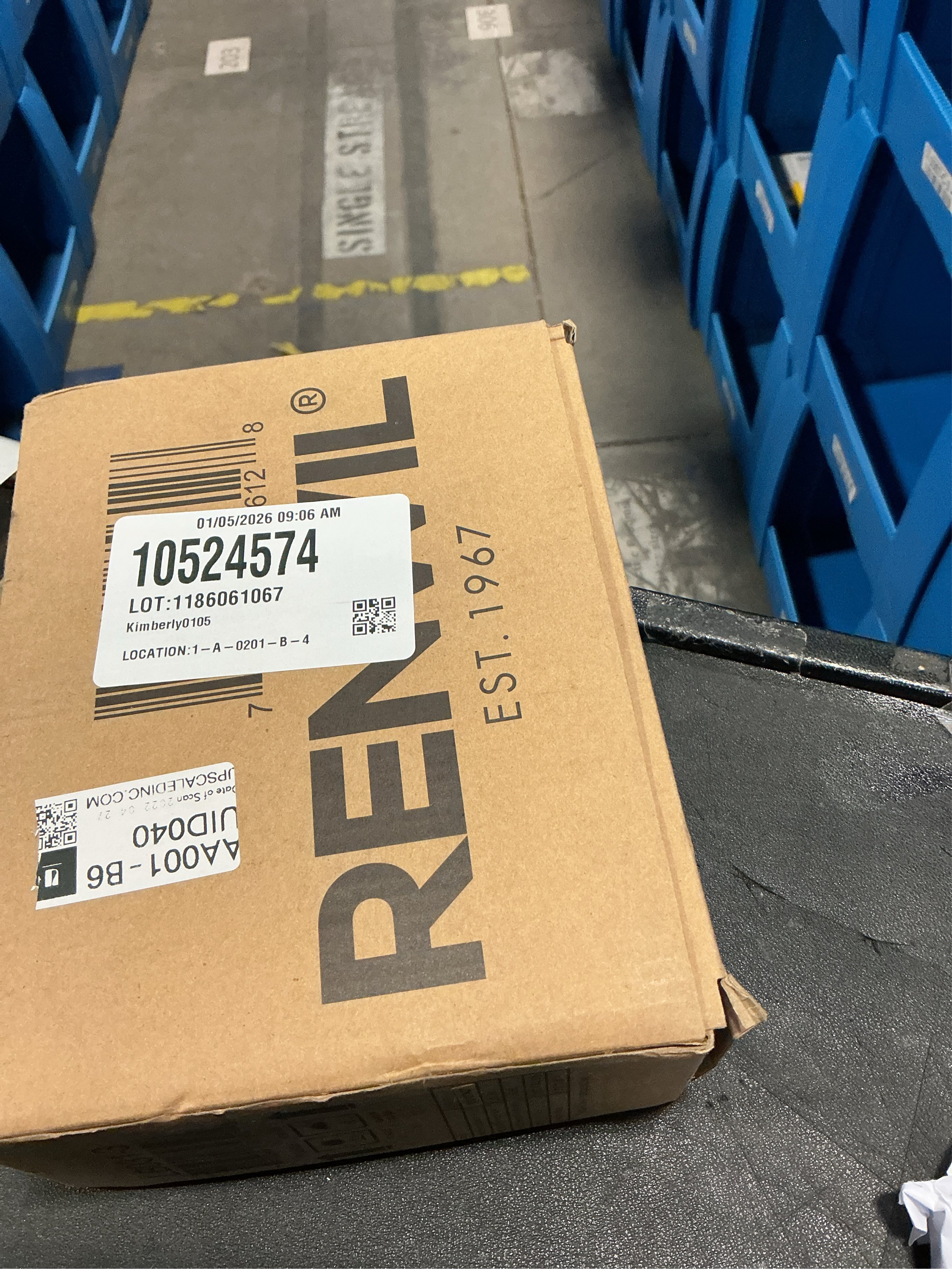 Renwil Timmons 3-Light Modern Glass LED Light Bulb in Clear (Pack of 3)