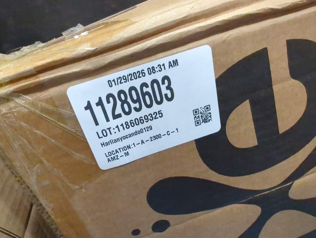 Bixe 16 Pro Balance Bike for for Big Kids 5 to 9 Years Old (Violet)