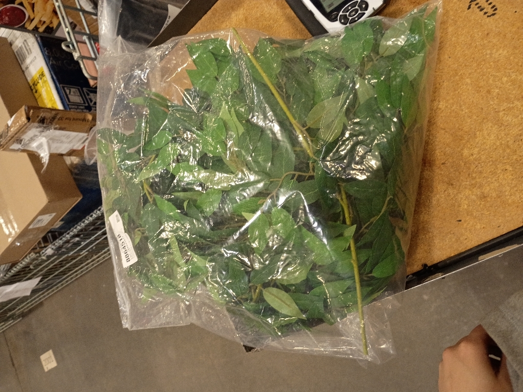 24Pcs Artificial Italian Ruscus Greenery Stems, Faux Green Leaf Garland Branches Hanging Greenery Spray for Wedding Bouquet,Arch,Table Centerpieces， Balloon Arch and Home Decor (24)