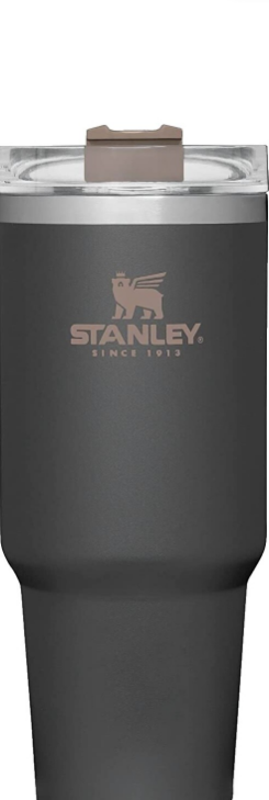 Stanley Quencher 30-fl oz Stainless Steel Insulated Water Bottle- Coal