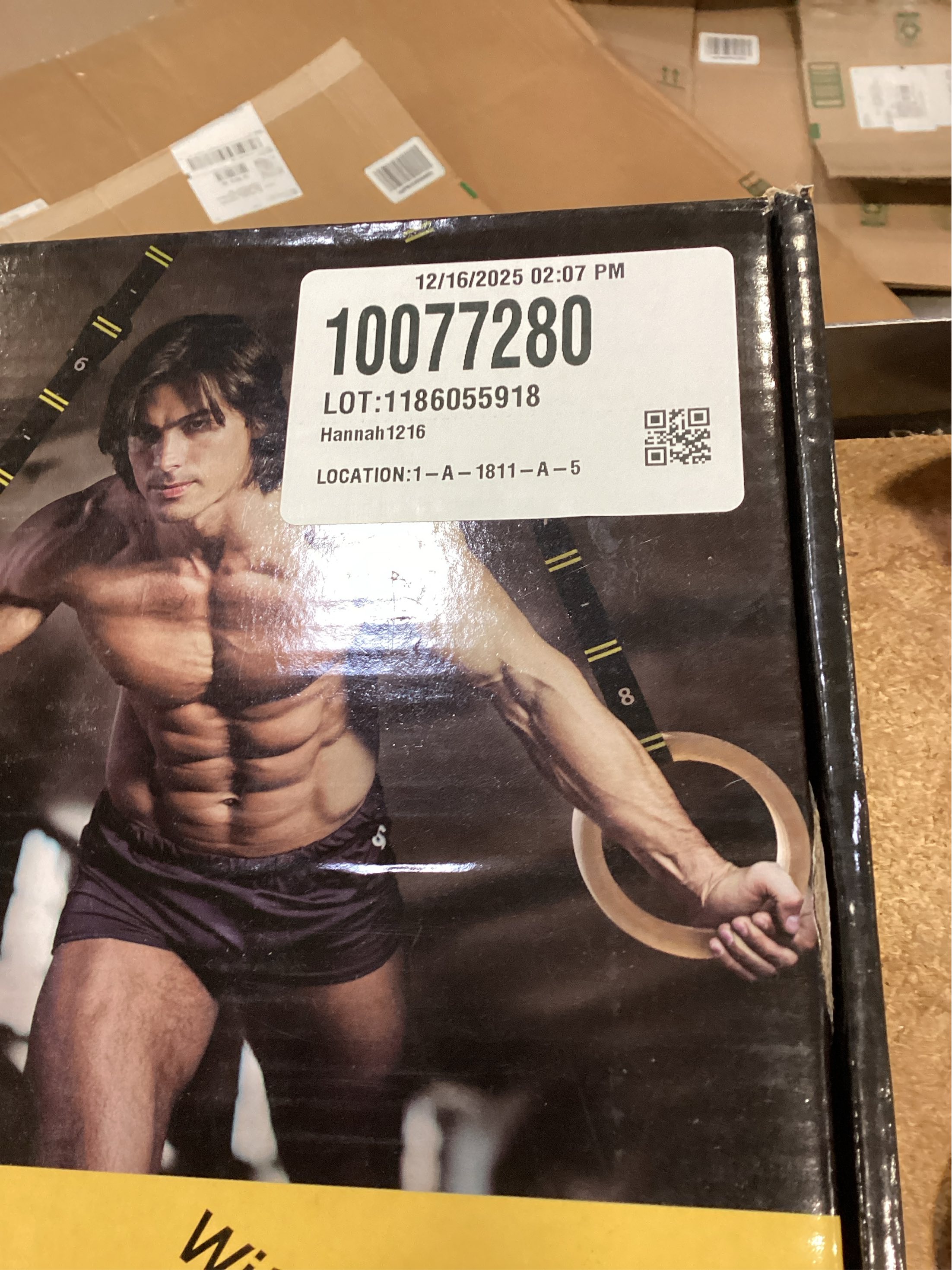 Double Circle Wood Gymnastics Rings with Quick Adjust Numbered Straps and Exercise Videos Guide - Full Body Workout Rings, Calisthenics, Home Gym (Multi-Size)