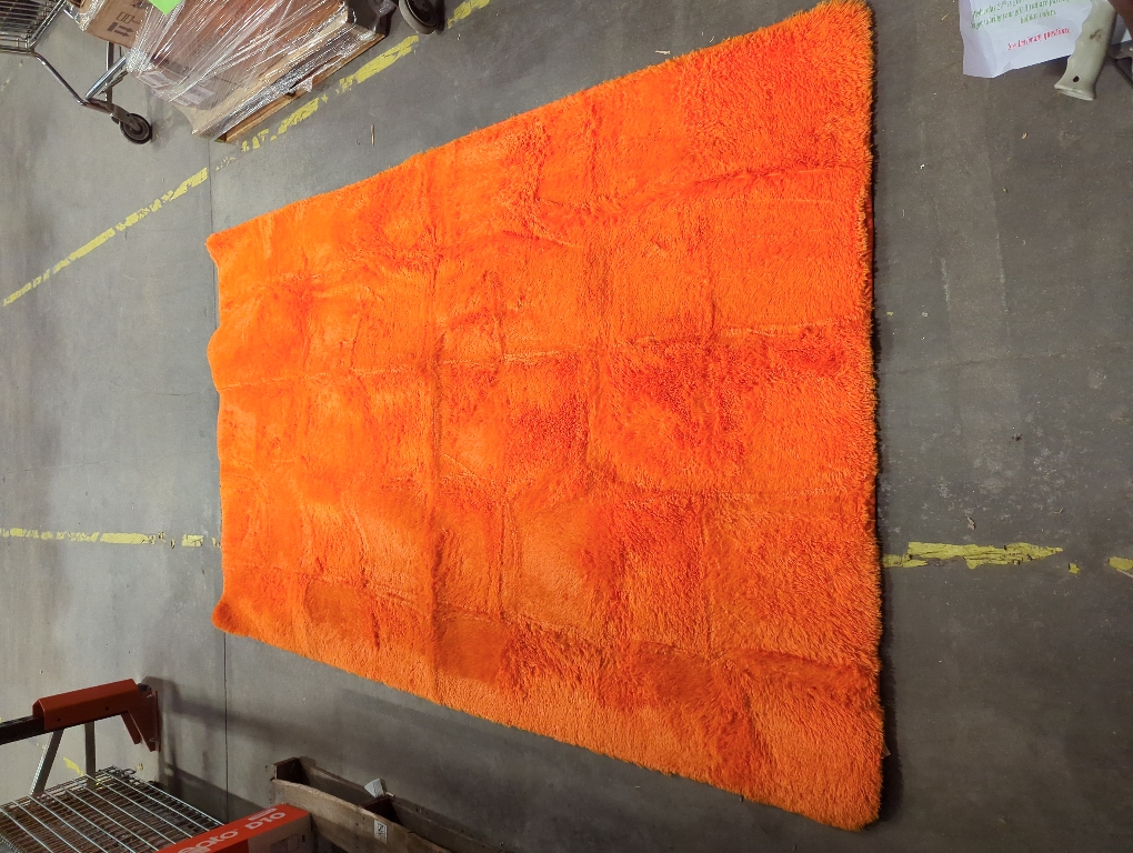 Ophanie Orange Large Rugs for Living Room Bedroom, Fluffy Fuzzy Furry Carpet, Plush Soft Shaggy Bedside Indoor Floor Area Rug for Kids Girls Boys Baby Teen Dorm Nursery Home Decor Aesthetic