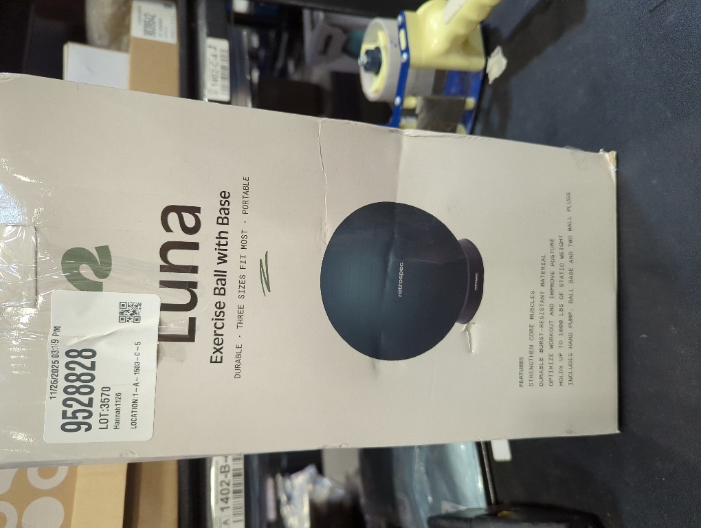 Retrospec Luna Exercise Ball with Pump - Anti-Burst Fitness Equipment for Yoga, Core Training & Stability - Home Gym Swiss Ball for Office & Pregnancy