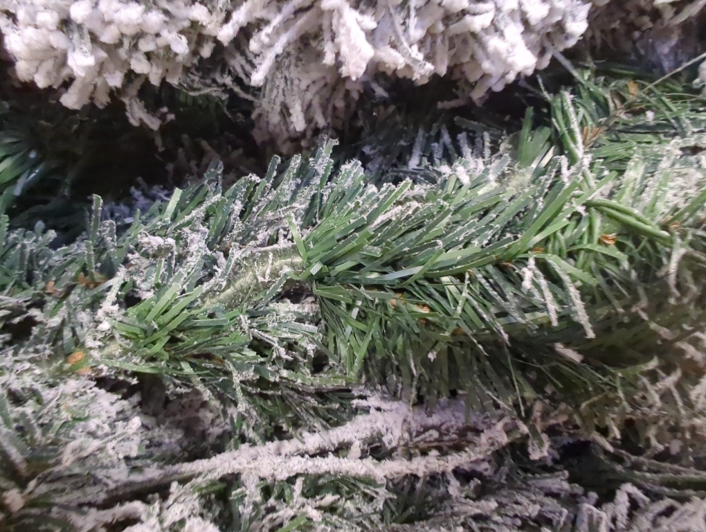 frosted Christmas tree