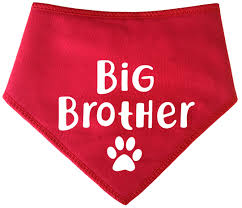 Spoilt Rotten Pets Big Brother Paw Slogan Red S4 Dog ...