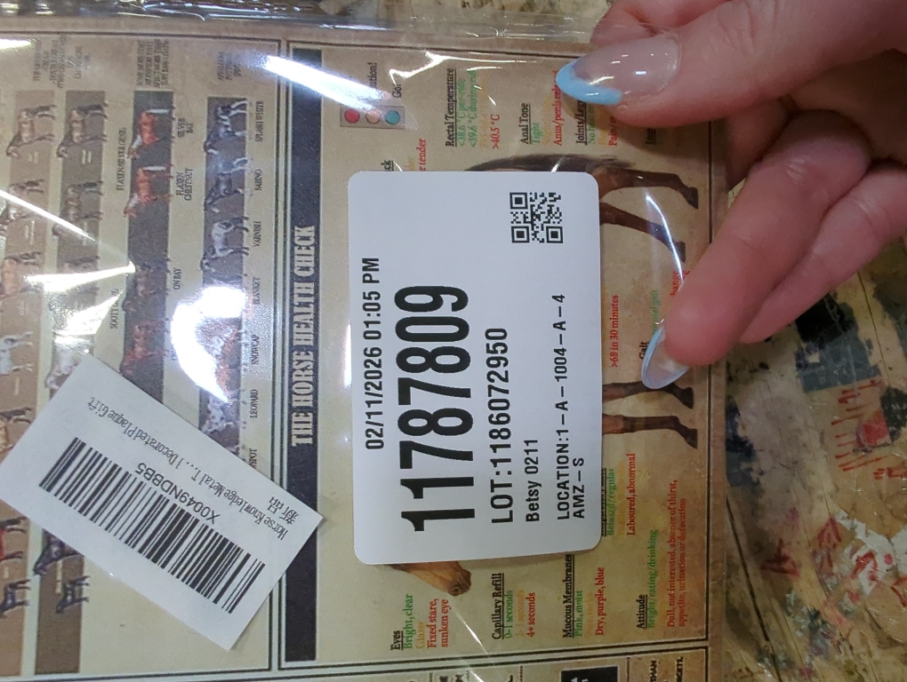 Horse Knowledge Metal Tin Sign A Horse'S Anatony Funny Poster Club Living Room Kitchen Bathroom Room Home Art Wall Decorated Plaque Gift